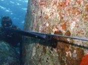 fusil pesca submarina: herramienta cambia todo