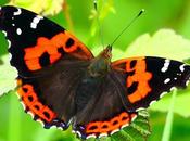 vida como emigración-MIS LECTURAS ORTEGA GASSET