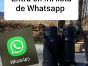 Apúntate lista WhatsApp
