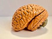 riesgo lesiones cerebrales traumáticas niños problemas atención hiperactividad