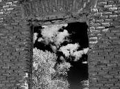 Habitantes ventanas