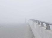 Confía cruzar puente medio niebla