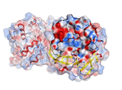 desarrolla potencial inhibidor proteasa para combatir COVID-19