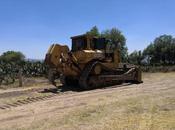 Realiza edoméx acciones para mejorar siembra nopal zona pirámides