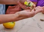 Casa Encendida propone talleres online