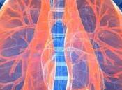 Como cuidar pulmones casa