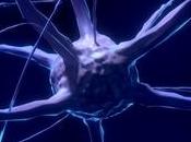 Epilepsia desde perspectiva ontogenética