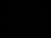 ¿Pandemia como castigo divino?