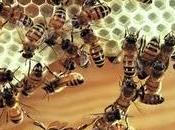 ¿Cómo produce cera abeja?