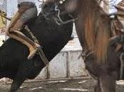 Arriba Regional Completos Occidente