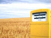 Especial Biocombustibles: ventajas ofrecen