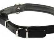 Collares cuero para perros