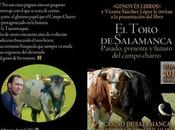 Toro Salamanca