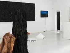 Gerard Moliné: Naturalment