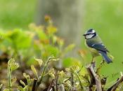 ANIVERSARIO DESDE CONFINAMIENTO