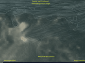 mantiene importante cantidad humo proveniente incendios forestales, varias regiones Venezuela. satélites podido captar éste material particulado atmósfera