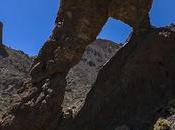 Zapatilla Reina Llano Ucanca Parque Nacional Teide