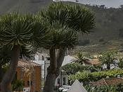 Villa Tegueste Pueblo Declarado Bien Interés Cultural Norte Tenerife