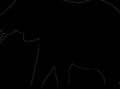 Covid-19: elefante negro acercará futuro