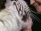 Murió Horn, famoso Siegfried Roy, coronavirus