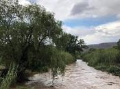 Mueren ahogados miembros familia Santa María