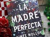 madre perfecta (Aimee Molloy)