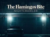Flamingos Bite Nightcrawler (2019)