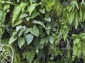 Cómo decorar plantas