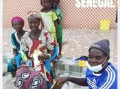 Senegal: familia como centro