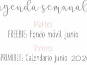 Agenda Semanal 18/05 24/05