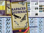 Undécima Edición RAPACES DIURNAS