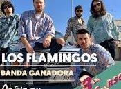 Concurso Bandas Cooltural Fest 2020, Ganador Flamingos
