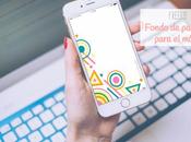 Fondo pantalla para móvil junio