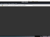 Cómo instalar Adobe Acrobat Reader Ubuntu 20.04 alternativas)