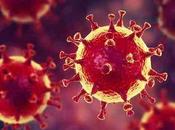 Diferentes tipos coronavirus estudio