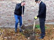 Plantaron árbol para concientizar sobre cuidado Medio Ambiente