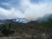 Feroz incendio forestal Matehuala sido difícil combatir