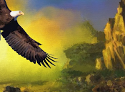 ¿Porqué necesito prueba campo visual?