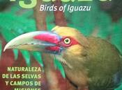 Aves Iguazú