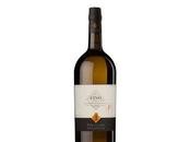 Fino Classic, Fernando Castilla, ahora Magnum.