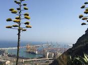 Mirador alcalde Montaña Montjuïc