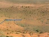 Humanoides Marcianos