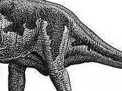 Muttaburrasaurus