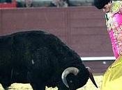 Valdemorucho 2010