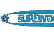 Bienvenid@s Surfinwords.