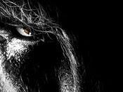Crítica: wolfman