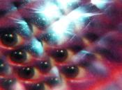 MGMT regala single “Flash Delirium”