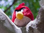 vida Angry Bird