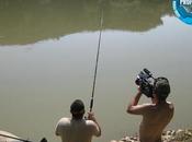 Documental pesca siluro pellets