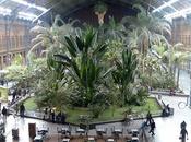 estación Diario Médico